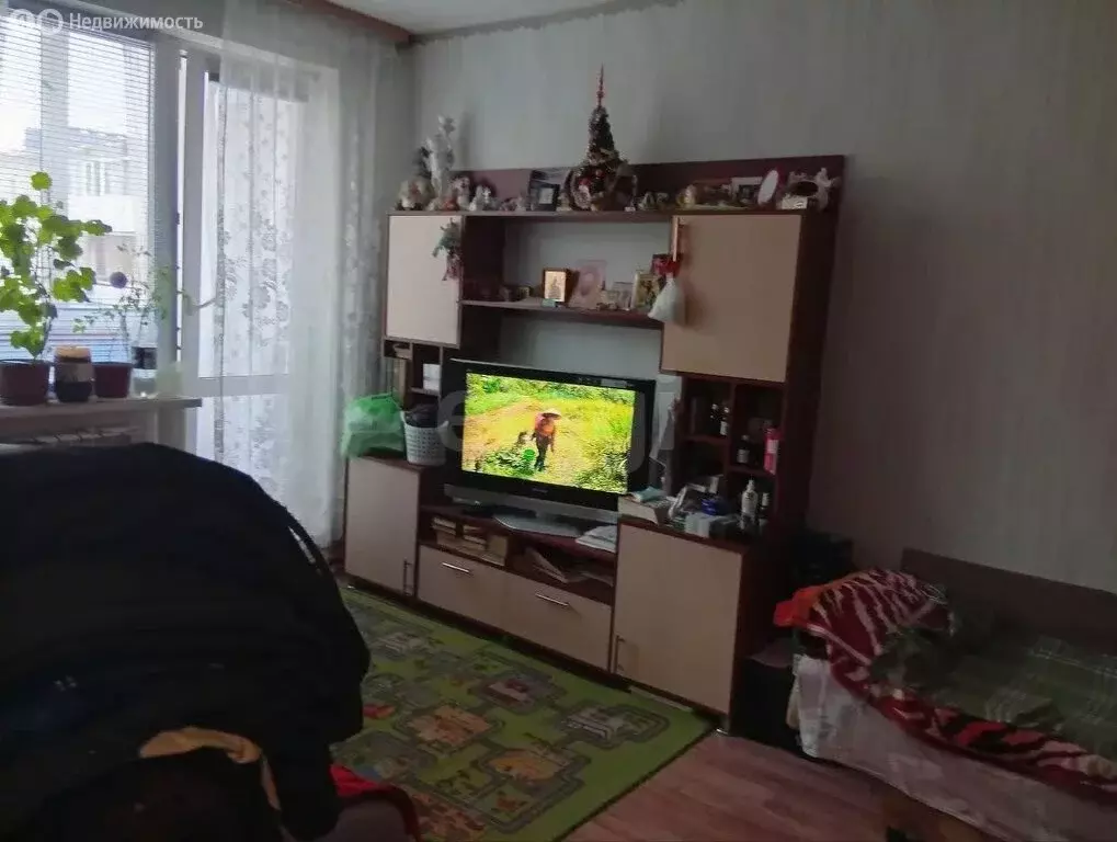 1-комнатная квартира: Пермь, Волгодонская улица, 19 (25 м) - Фото 0