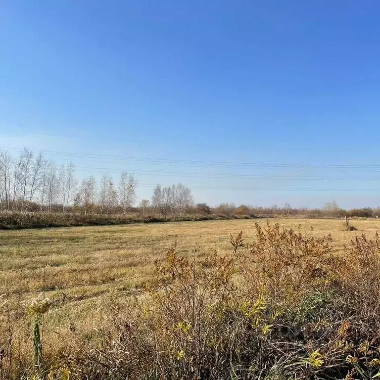 Участок в Хабаровский край, Хабаровск  (590.0 сот.) - Фото 1