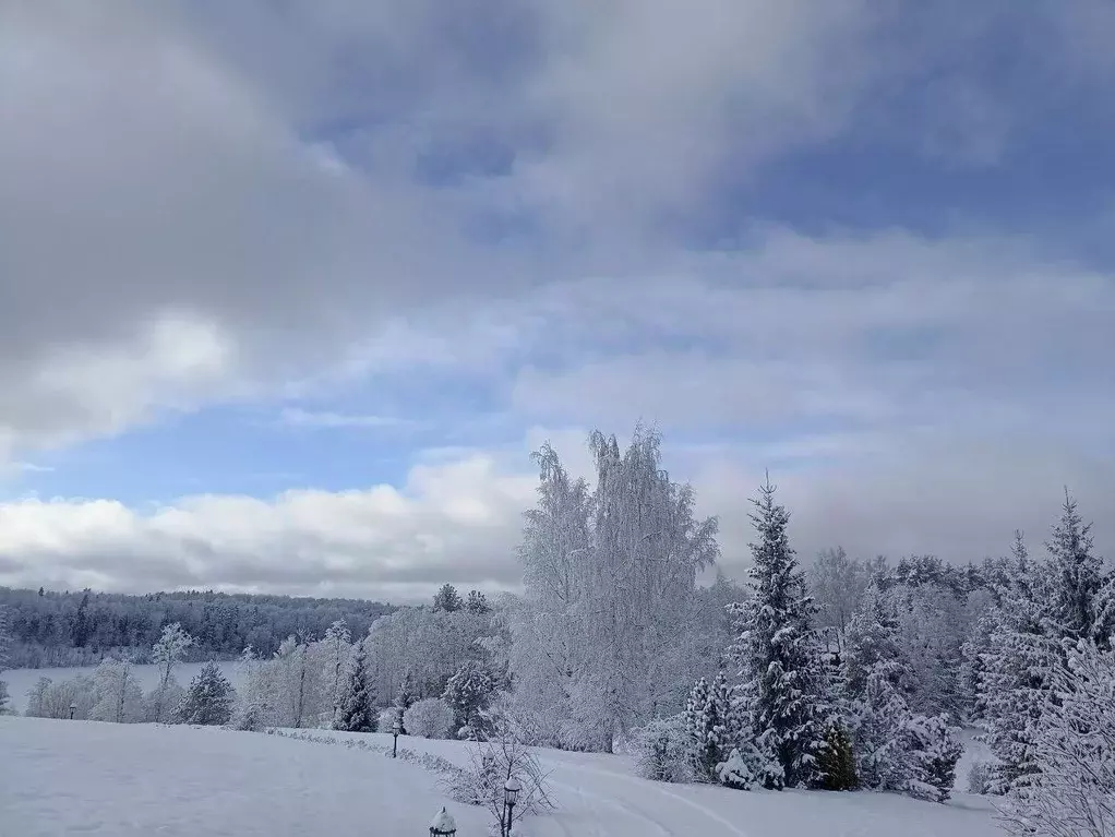 Коттедж в Новгородская область, Валдайский район, Рощинское с/пос, д. ... - Фото 2