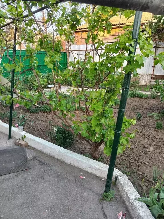 Дом в Ростовская область, Ростов-на-Дону ул. Нариманова, 85 (48 м) - Фото 1