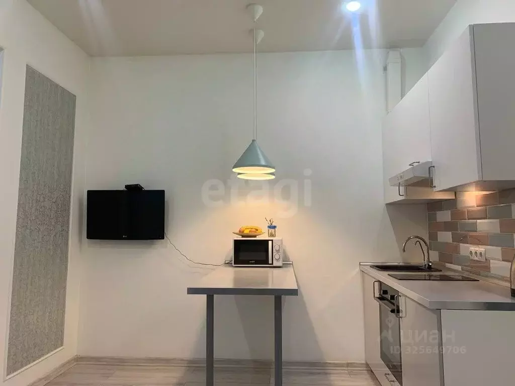 Студия Московская область, Богородский городской округ, д. Новая ... - Фото 2