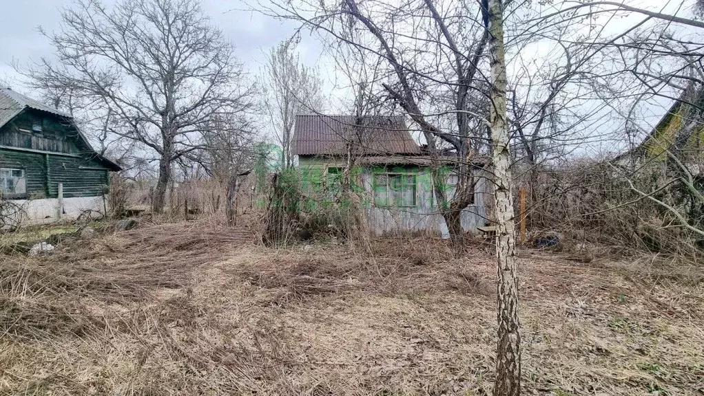 Участок в Брянская область, Брянск Мичуринец садовое общество, 3-я ... - Фото 0