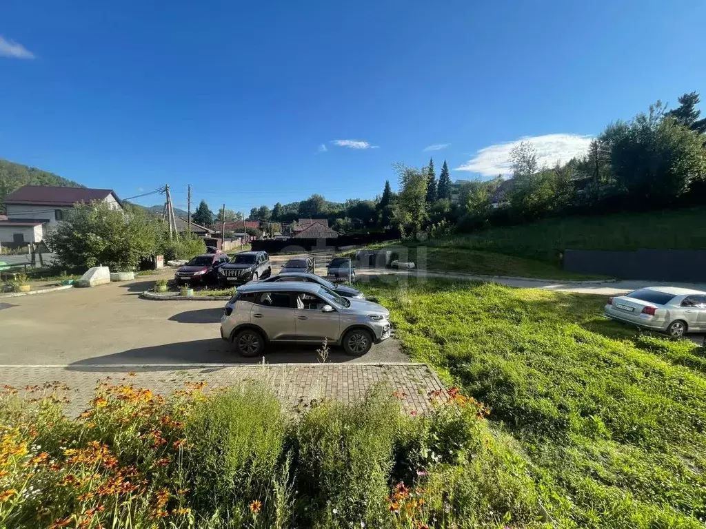 1-к кв. Алтай, Горно-Алтайск ул. Петра Сухова (30.0 м) - Фото 2