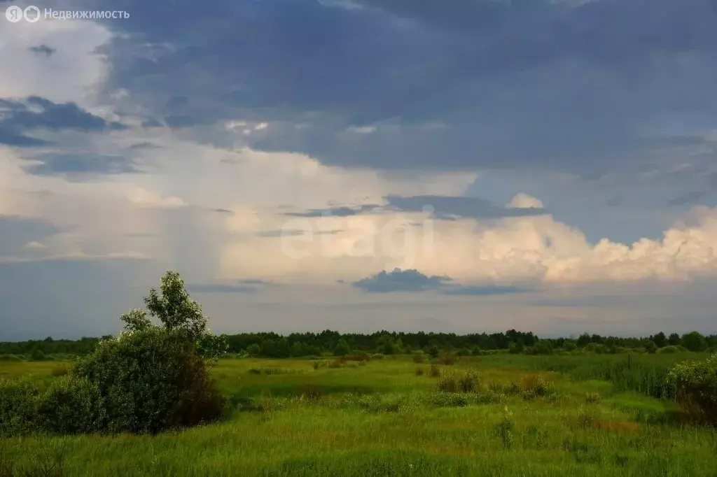 Участок в Липецкая область, село Доброе (10.13 м) - Фото 2