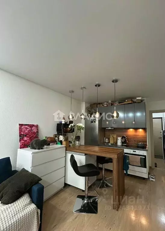 Студия Санкт-Петербург просп. Энергетиков, 11к2 (24.0 м) - Фото 2