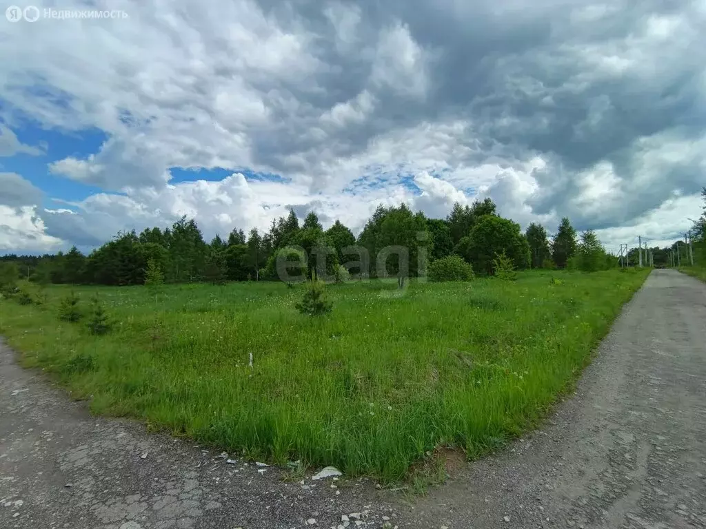 Участок в Московская область, городской округ Серпухов, ДНП ... - Фото 2