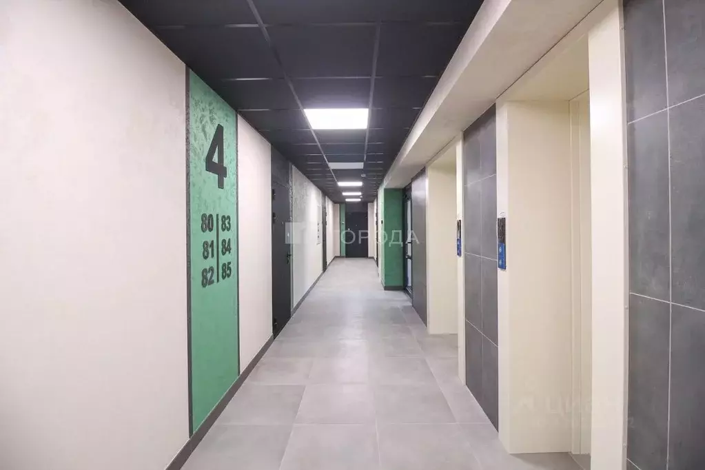 2-к кв. Алтайский край, Барнаул Просторная ул., 390к1 (39.0 м) - Фото 1