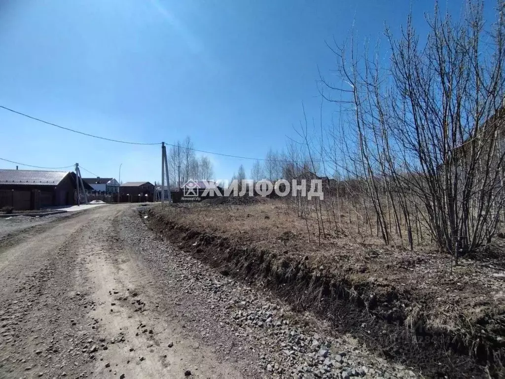 Участок в Кемеровская область, Кемеровский район, с. Андреевка ул. ... - Фото 0