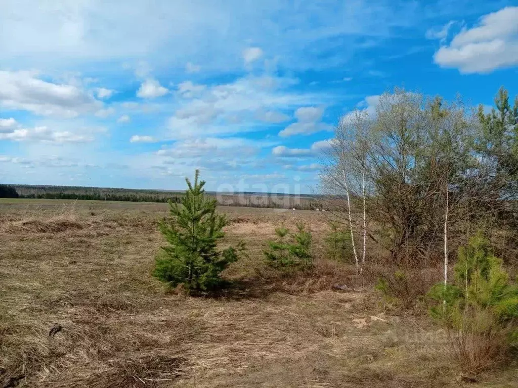 Участок в Нижегородская область, Богородский муниципальный округ, д. ... - Фото 1