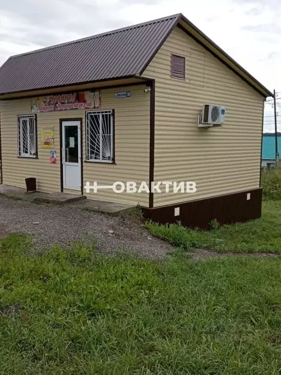 Торговая площадь в Алтайский край, Целинный район, с. Целинное ... - Фото 1