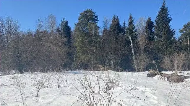Участок в Московская область, Щелково городской округ, д. Орлово  ... - Фото 1