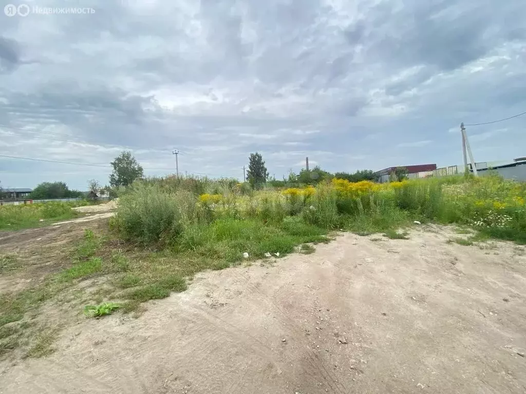 Участок в Толмачево, СДТ Ветеран-2 (6 м) - Фото 0