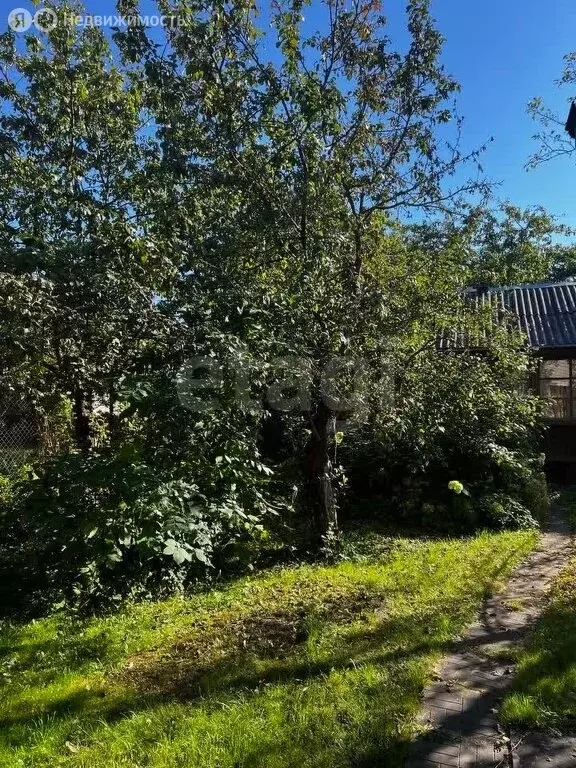 Участок в Московская область, Богородский городской округ, СНТ ... - Фото 1