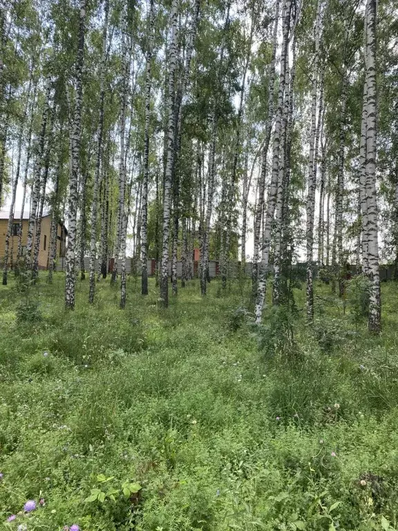 Участок в Татарстан, Казань Константиновка жилмассив,  (5.0 сот.) - Фото 2