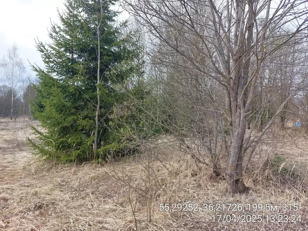 Участок в Московская область, Наро-Фоминский городской округ, д. ... - Фото 1