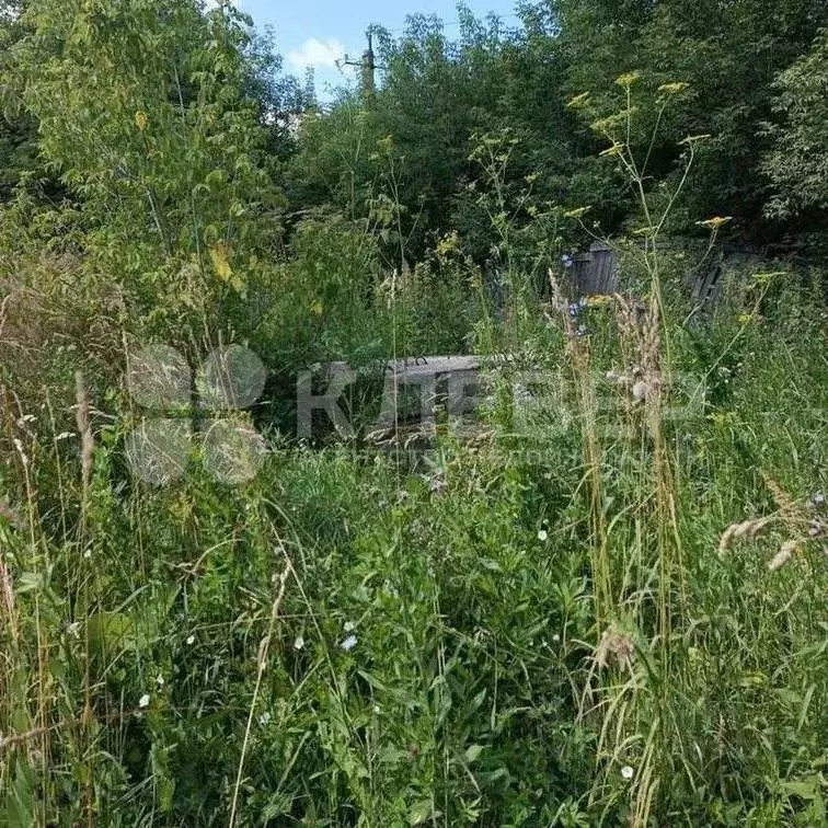 Участок в Пермский край, Чернушка Пролетарская ул., 3А (10.01 сот.) - Фото 2