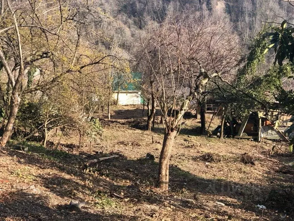 Участок в Краснодарский край, Сочи городской округ, с. Прогресс, БФО ... - Фото 1