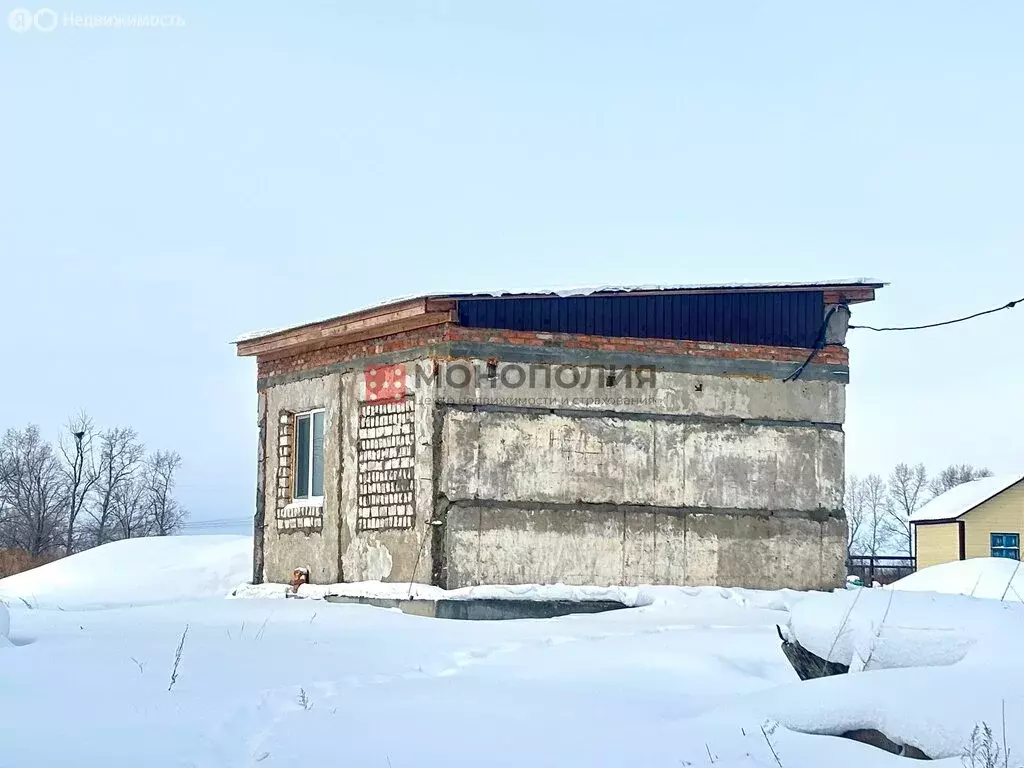 Дом в Амурская область, Белогорский муниципальный округ, село ... - Фото 0