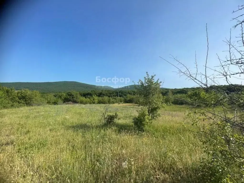 Участок в Крым, Кировский район, Старый Крым городское поселение ул. ... - Фото 1