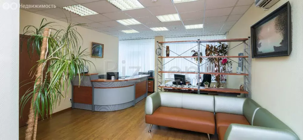 Офис (23.3 м) - Фото 2