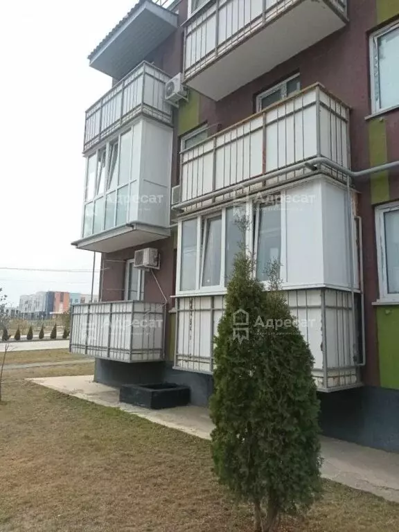 1-комнатная квартира: Волгоград, улица Добрушина, 10 (25 м) - Фото 2