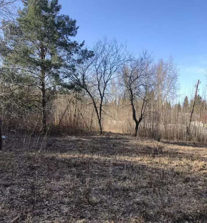 Дом в Пермский край, Пермский муниципальный округ, д. Кулики ул. ... - Фото 2