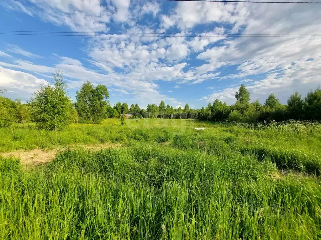 Участок в Тульская область, Алексин городской округ, д. Иньшино ул. ... - Фото 1