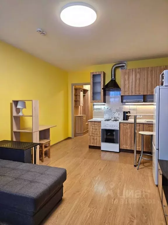 Студия Санкт-Петербург просп. Энергетиков, 9К1 (25.1 м) - Фото 1