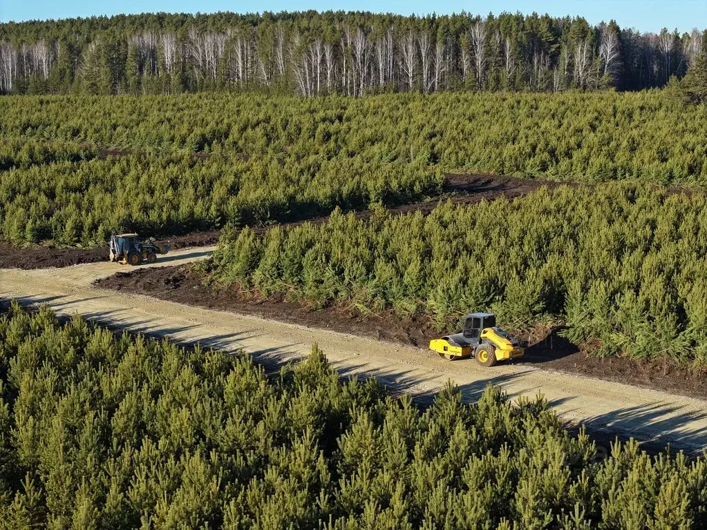 Участок в Свердловская область, Сысертский муниципальный округ, Домо ... - Фото 1