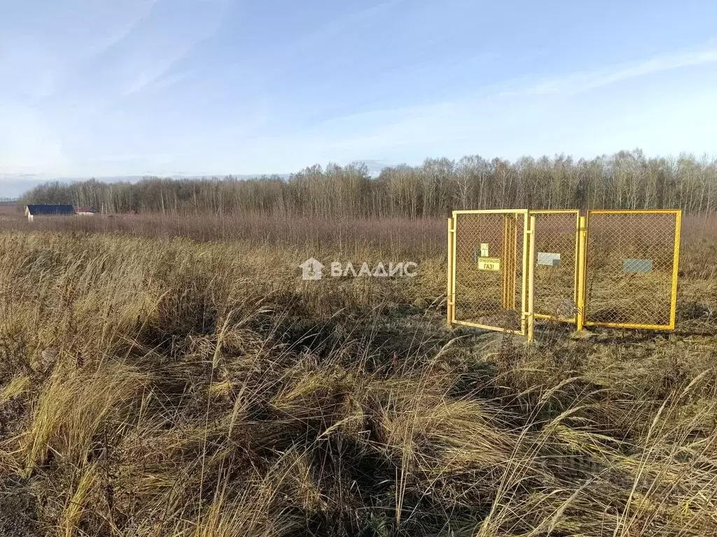 Участок в Нижегородская область, Богородский муниципальный округ, ... - Фото 2