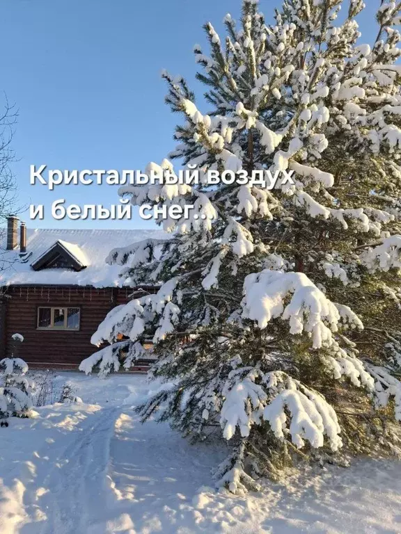 Дом в Пермский край, Добрянский муниципальный округ, с. Красная ... - Фото 2