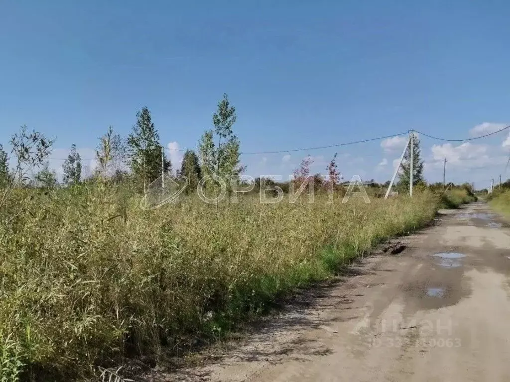 Участок в Тюменская область, Тюмень Матрешка ТСН, ул. Листопадная ... - Фото 1