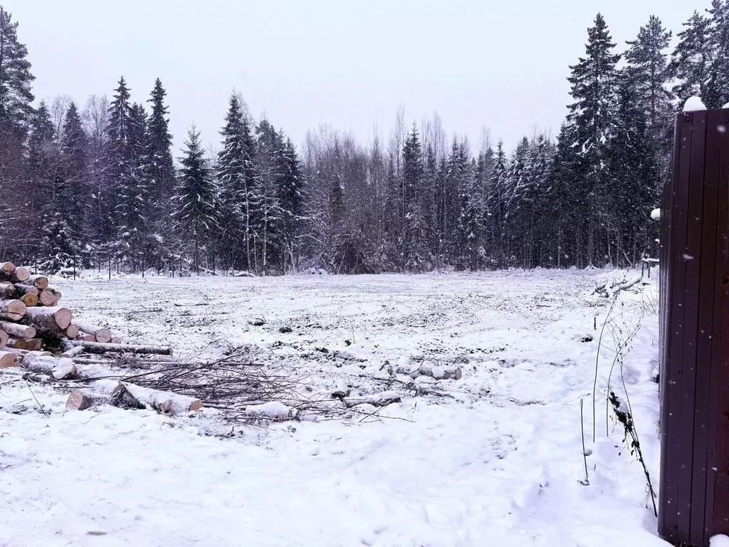 Участок в Ленинградская область, Тихвинское городское поселение, пос. ... - Фото 1