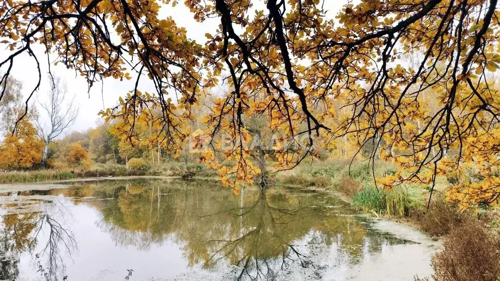 Участок в Владимирская область, Суздальский район, Новоалександровское ... - Фото 1