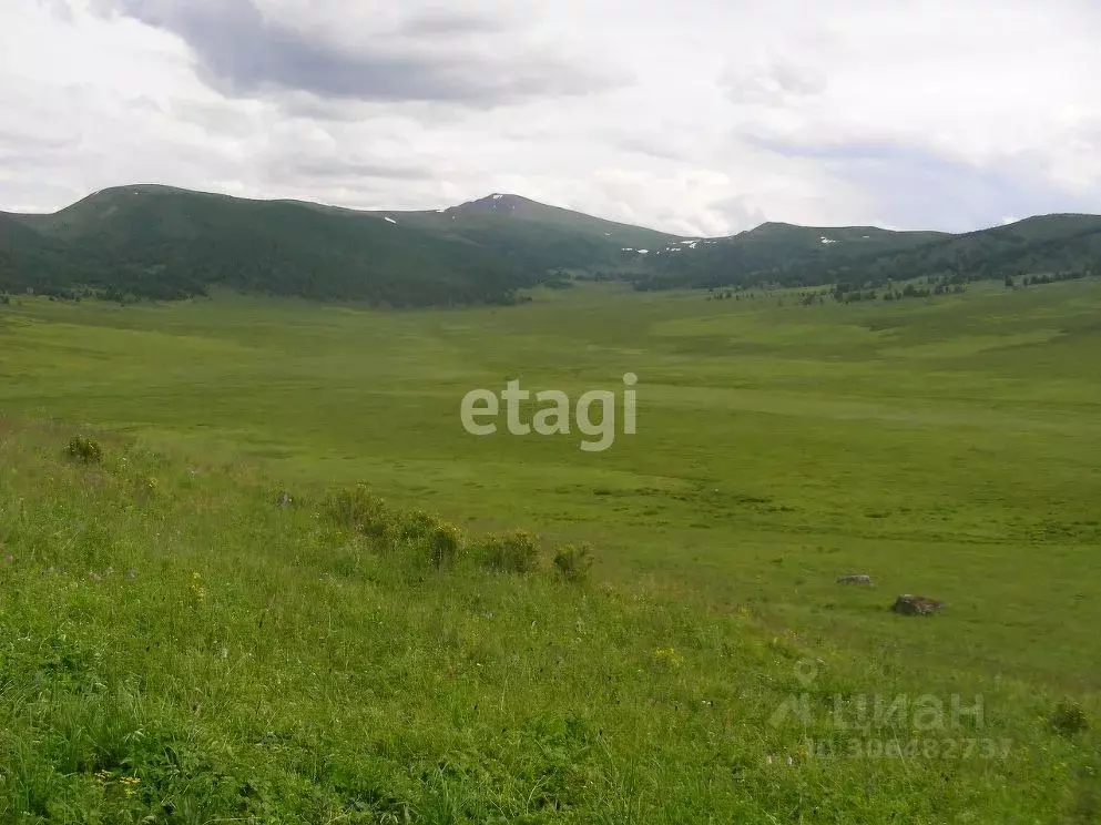 Участок в Алтай, Онгудайский район, с. Онгудай  (1405.5 сот.) - Фото 1