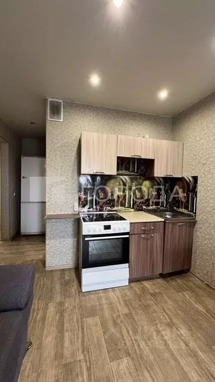 Студия Новосибирская область, Новосибирск ул. Фадеева, 66/2 (29.0 м) - Фото 1