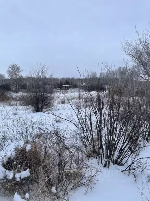 Дом в Челябинская область, Южноуральск Южное СНТ,  (8 м) - Фото 0