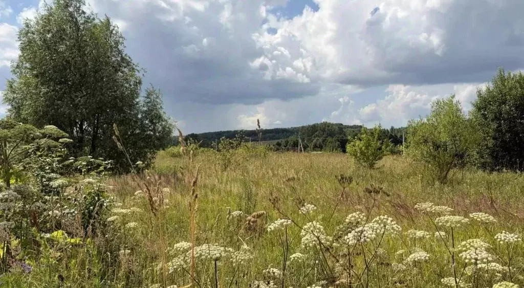 Участок в Московская область, Серпухов городской округ, д. Каргашино ... - Фото 1