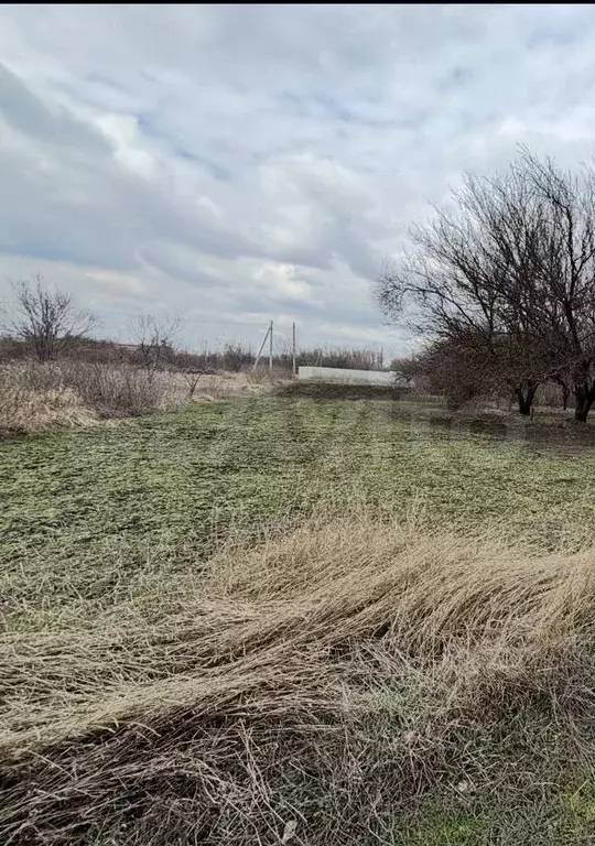 Участок 7,8 сот. (ИЖС) - Фото 0