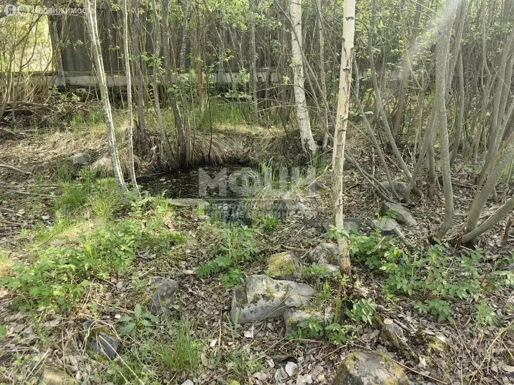 Дом в Республика Карелия, Прионежский муниципальный район, Шуйское ... - Фото 2