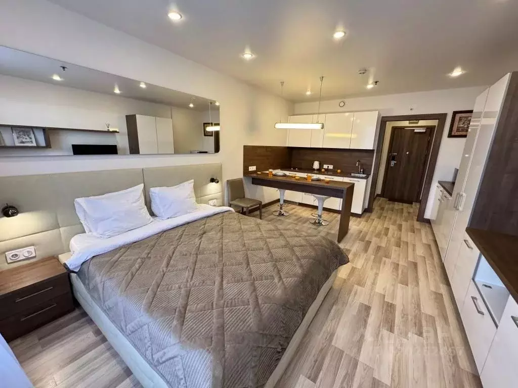 1-к кв. Санкт-Петербург ул. Хошимина, 16А (30.0 м) - Фото 2