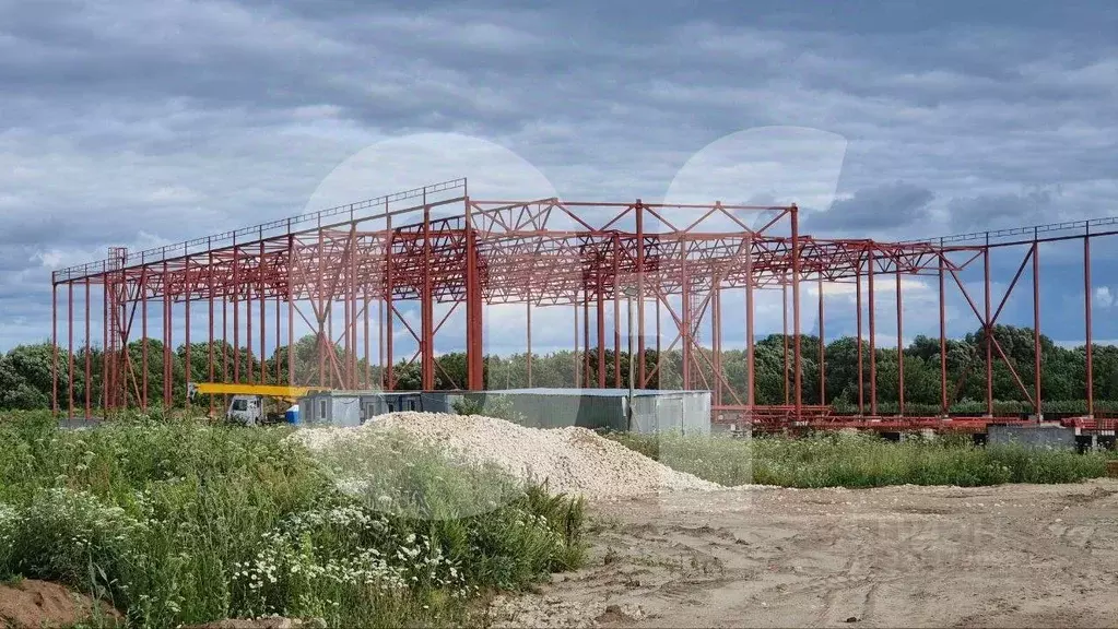 Склад в Московская область, Богородский городской округ, д. Большое ... - Фото 2