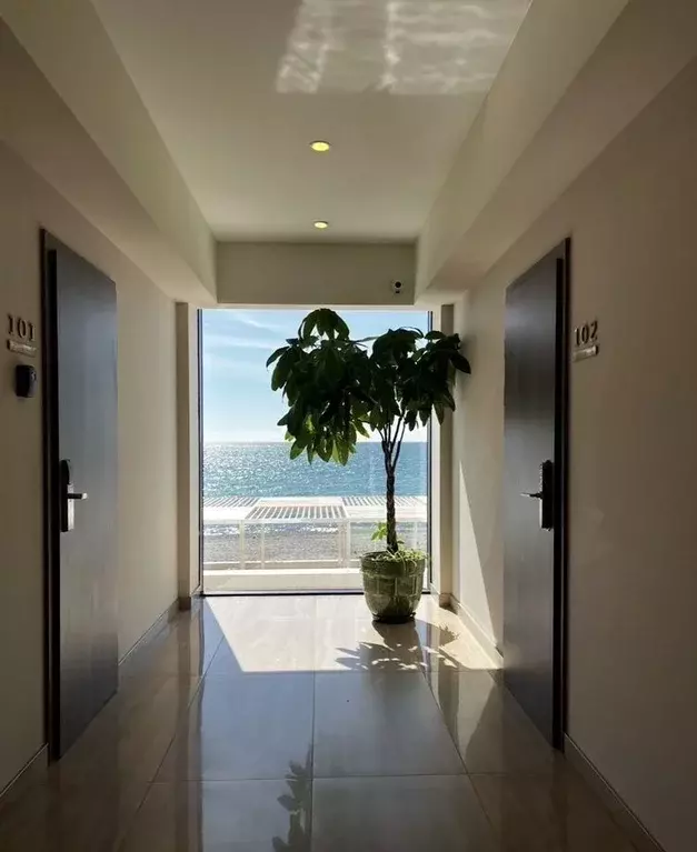 Студия Краснодарский край, Сочи Лучезарная ул., 1А (25.0 м) - Фото 2