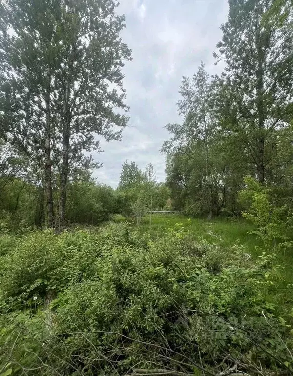 Участок в Ленинградская область, Волхов  (14.0 сот.) - Фото 2