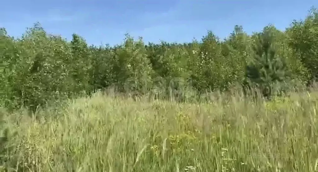 Участок в Московская область, Солнечногорск городской округ, д. ... - Фото 1