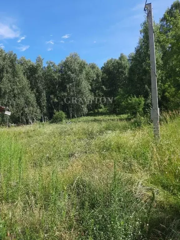 Участок в Алтай, Майминский район, пос. Дубровка Горный пер. (15.0 ... - Фото 2