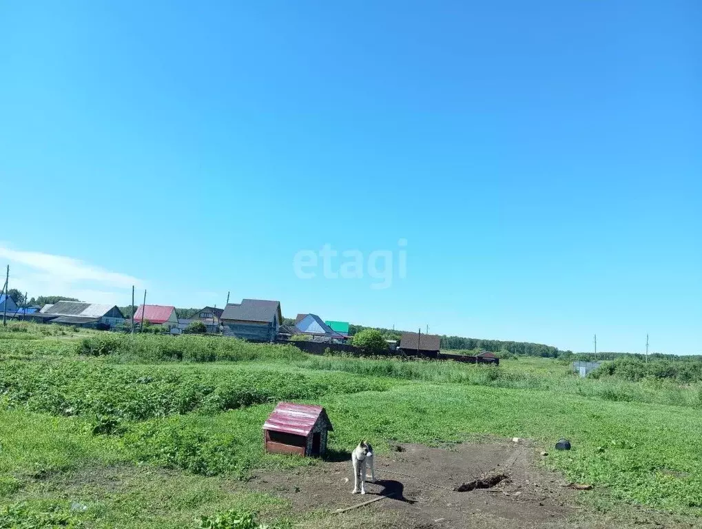 Дом в Тюменская область, с. Большое Сорокино ул. Победы (47 м) - Фото 1