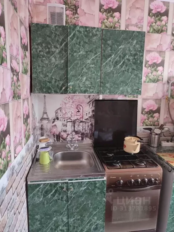 1-к кв. Калужская область, Балабаново Боровский район, Московская ул., ... - Фото 2