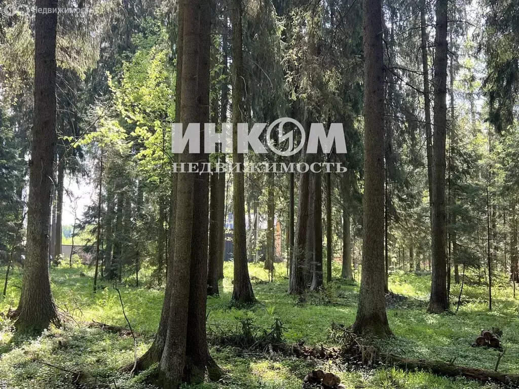 Участок в Московская область, Дмитровский муниципальный округ, деревня ... - Фото 1