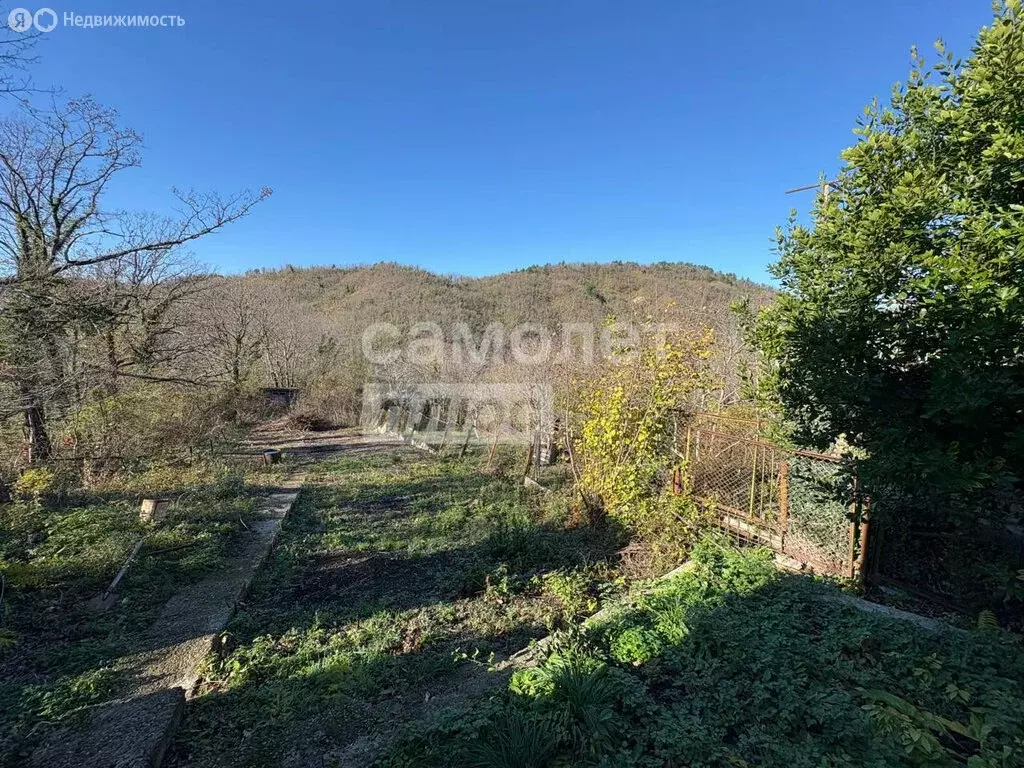 Участок в Краснодарский край, Туапсинский муниципальный округ, СТ Заря ... - Фото 1